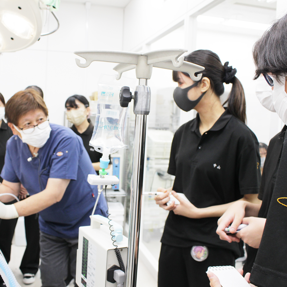 歯石除去処置のスキルアッププログラム☆